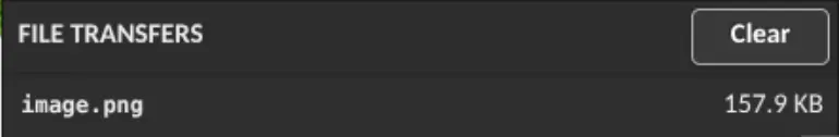 flexidesktop file transfer progress showing uploaded file