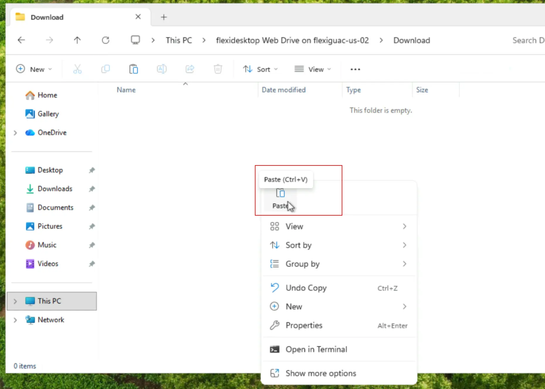 Pasting a file inside the flexidesktop Web Drive Download folder